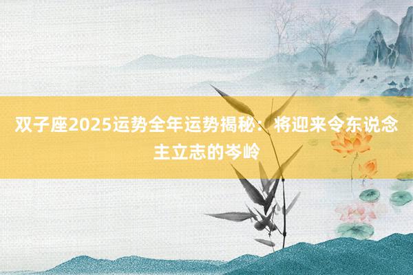 双子座2025运势全年运势揭秘：将迎来令东说念主立志的岑岭