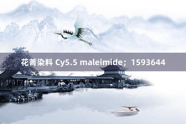 花菁染料 Cy5.5 maleimide；1593644