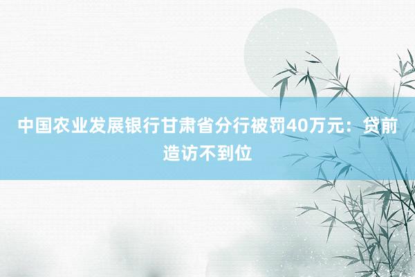 中国农业发展银行甘肃省分行被罚40万元：贷前造访不到位