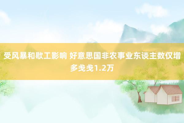 受风暴和歇工影响 好意思国非农事业东谈主数仅增多戋戋1.2万